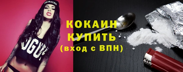 сатива Богданович