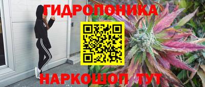ECSTASY Бузулук