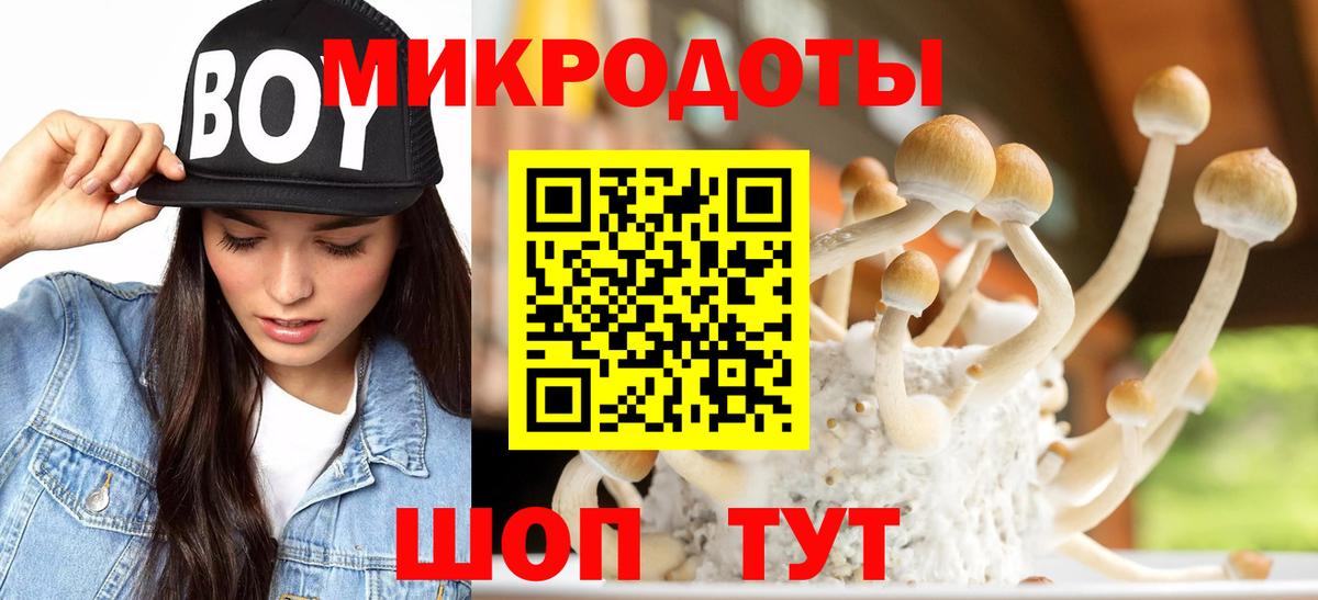 Галлюциногенные грибы Cubensis  купить наркотик  Гудермес  Вход с VPN 