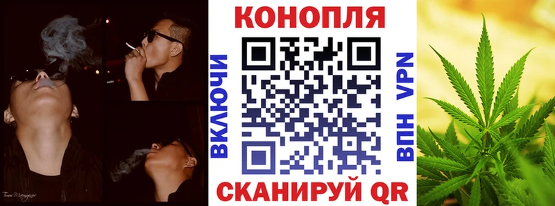 Шишки марихуана марихуана  Гудермес 